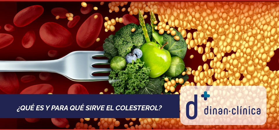 ¿Qué es y para qué sirve el colesterol?